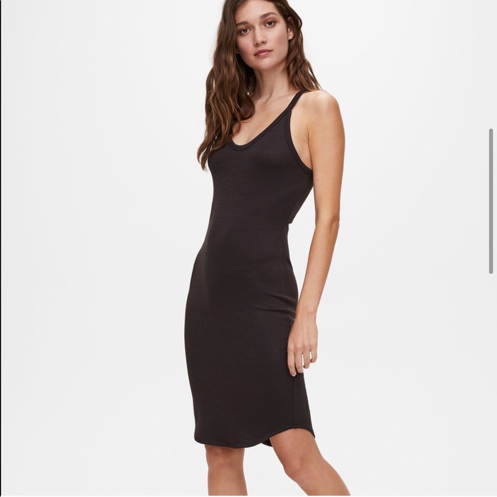 Wilfred Free Dress Aritzia